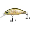 Goldy Kingfisher 45 F Shalow