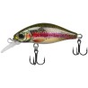 Goldy Kingfisher 45 F Shalow