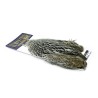 Whiting Farms American Hen Cape