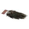 Whiting Farms Rooster Coq de Leon Bronze Saddle