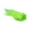 Whiting Farms Bird Fur
