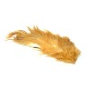 Whiting Farms Bird Fur