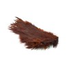 Whiting Farms Bird Fur