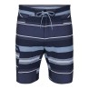 Simms Seamount Board Short