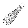 Pro Sportfisher Pro Adult Stonefly Wings