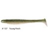 Noike Ninja Shad 4"