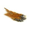 Whiting Farms Bird Fur