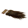 Whiting Farms Rooster Coq de Leon Bronze Saddle