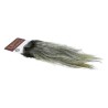 Whiting Farms Rooster Coq de Leon Silver Saddle