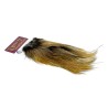 Whiting Farms Rooster Coq de Leon Silver Saddle