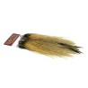 Whiting Farms Rooster Coq de Leon Silver Saddle