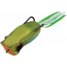 Evergreen Popper Frog