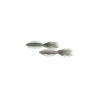 Ecogear POWER SQUID 7"