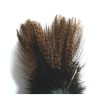 Plumes Coq de León DOHIKU CDL – 5 pièces