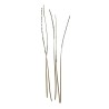 Quills naturels DOHIKU Quill Body QBN – 20 pièces
