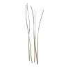 Quills naturels DOHIKU Quill Body QBN – 20 pièces