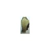 Scalp de coq DOHIKU SKK
