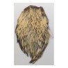 Scalp de coq DOHIKU SKK