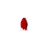 Scalp de poule DOHIKU SKS