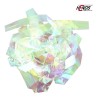 Hends Shellback - Feuille iridescente 6 mm