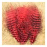 Hends Grizzly Marabou - Plumes barrées