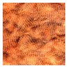 Hends Grizzly Marabou - Plumes barrées