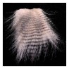 Hends Grizzly Feathered Furabou - Fibres barrées