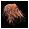 Hends Grizzly Feathered Furabou - Fibres barrées