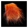 Hends Grizzly Feathered Furabou - Fibres barrées