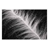 Blanc/Noir LCH901 Hends Long Chenille Feathered - Chenille 9 cm