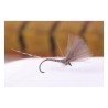 Hends S04 V May Fly Top Quill - Mouche sèche