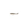 Fiiish Pit Swimmer 100mm – Texan or Shallow combo